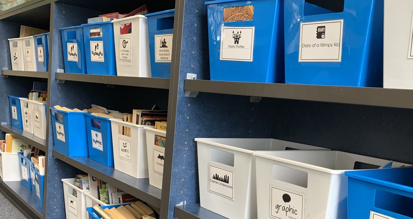 Sheldon Pines Library, book bins on shelves.