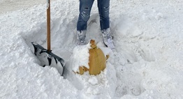 shovel at a fire hydrant
